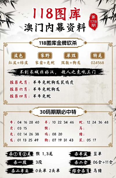 新澳澳门免费资料网址是什么纸，精选解释解析落实