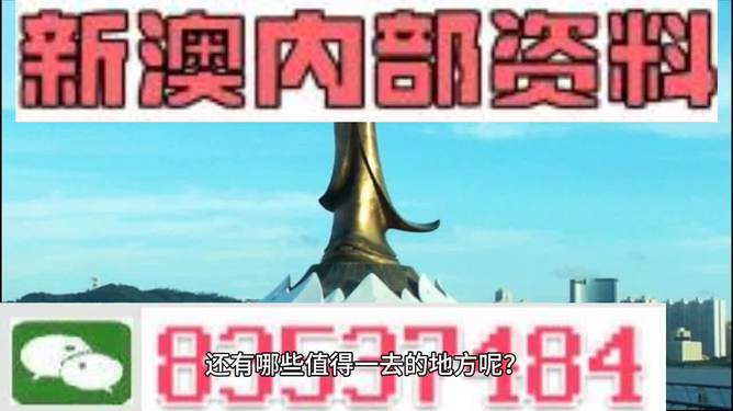 新澳门2024年资料大全管家婆，精选解释解析落实