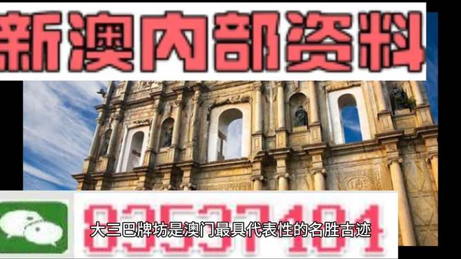 2024新澳正版免费资料｜精选解释解析落实