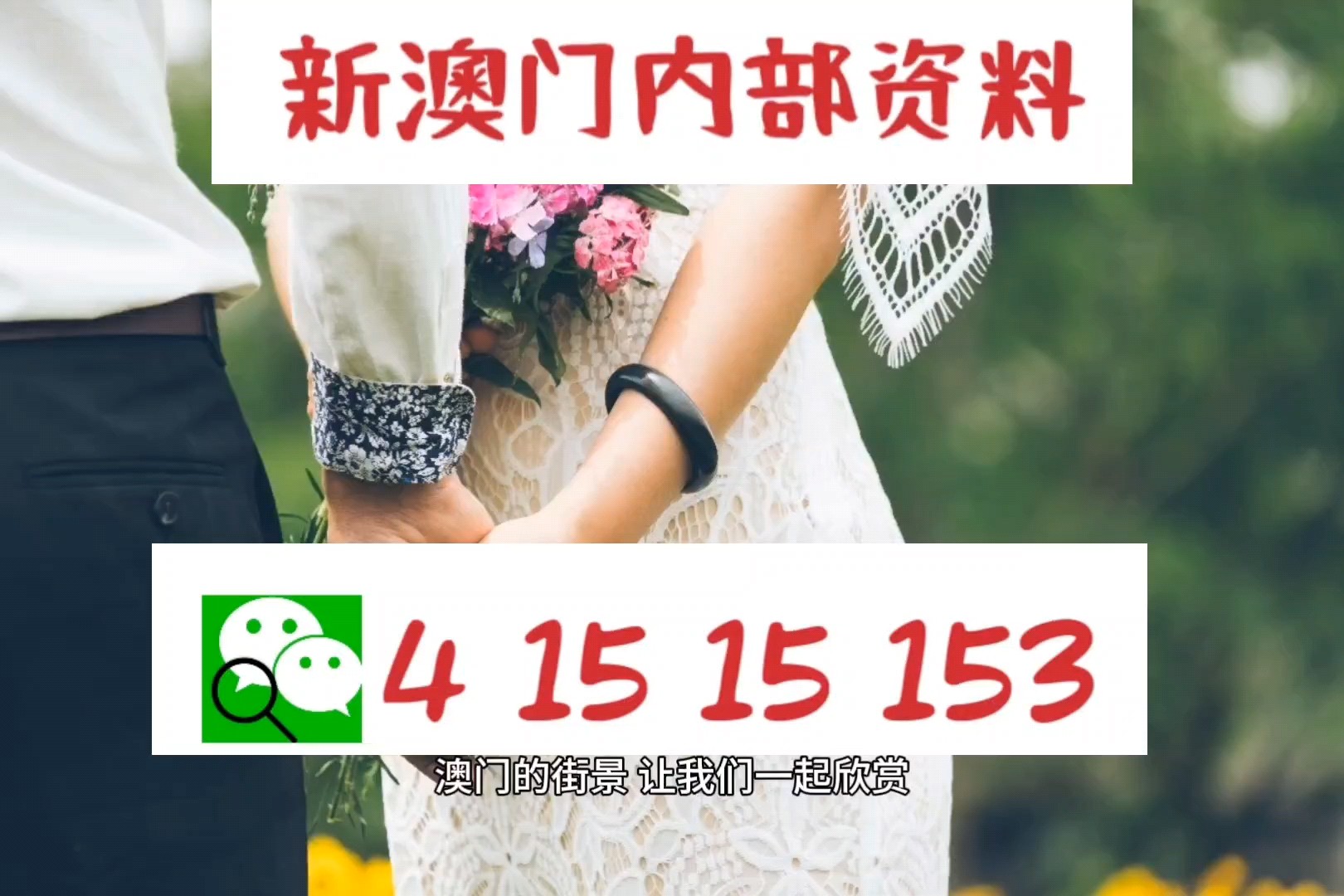 新澳门精准免费大全｜免费完整资料｜精选解释解析落实
