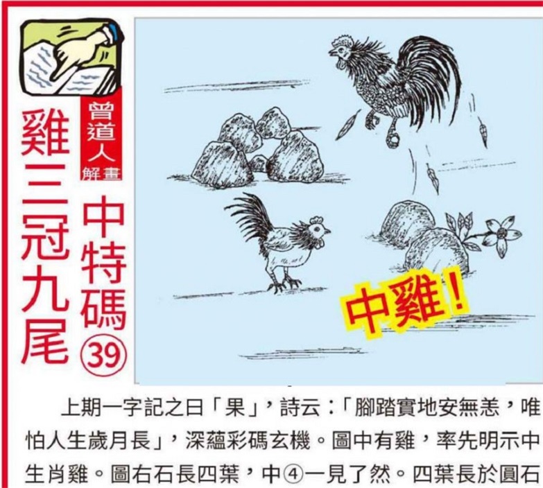 2023年澳门资料大全正版资料｜精选解释解析落实