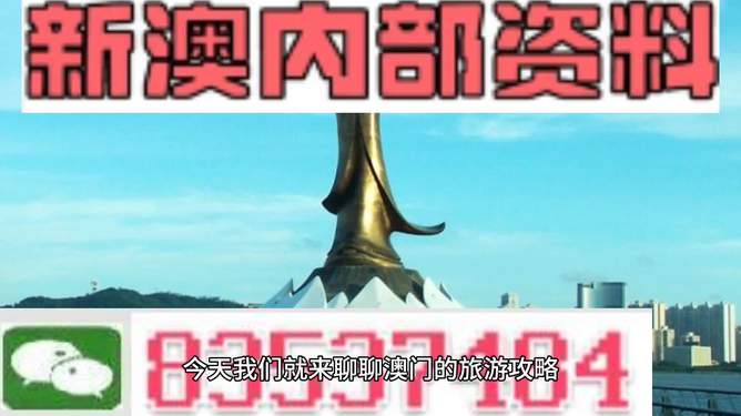 新澳精准资料大全，精选解释解析落实