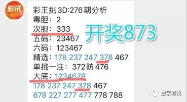 2024澳门精准正版资料大全｜精选解释解析落实